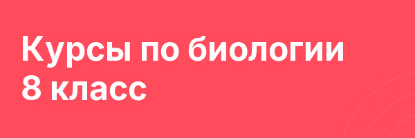 Курсы по биологии 8 класс