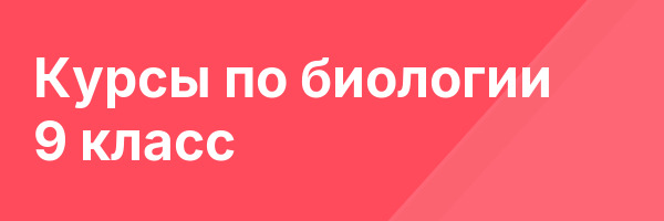 Курсы по биологии 9 класс