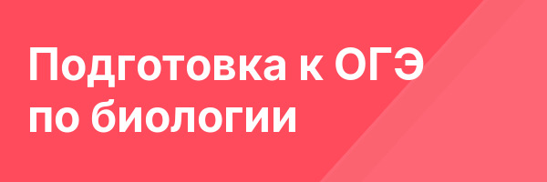 Подготовка к ОГЭ по биологии