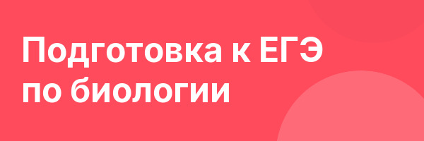 Подготовка к ЕГЭ по биологии