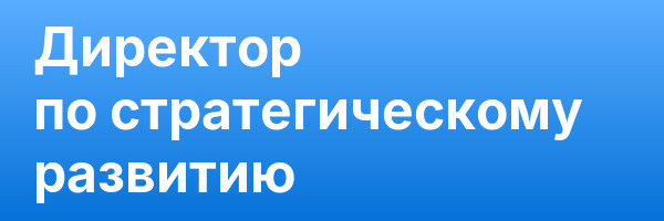 Директор по стратегическому развитию