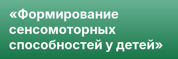 «Формирование сенсомоторных способностей у детей»
