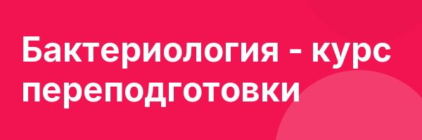 Бактериология — курс переподготовки
