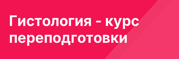 Гистология — курс переподготовки