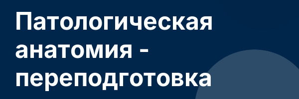 Патологическая анатомия — переподготовка