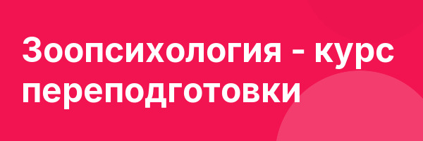 Зоопсихология — курс переподготовки