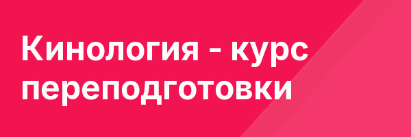 Кинология — курс переподготовки