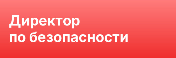 Директор по безопасности
