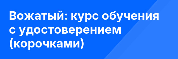 Вожатый: курс обучения с удостоверением (корочками) ✅