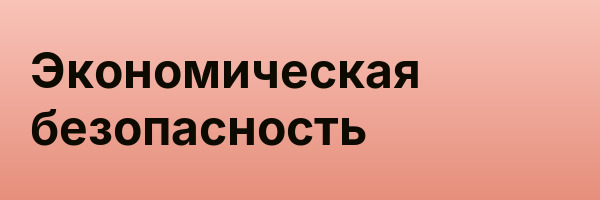 Экономическая безопасность