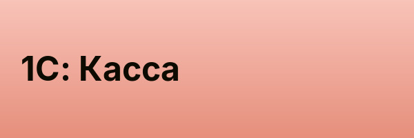 1С: Касса