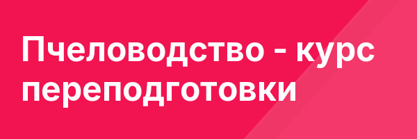Пчеловодство — курс переподготовки