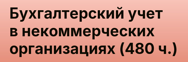 Бухгалтерский учет в некоммерческих организациях (480 ч.)