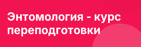 Энтомология — курс переподготовки