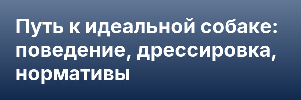 Путь к идеальной собаке: поведение, дрессировка, нормативы