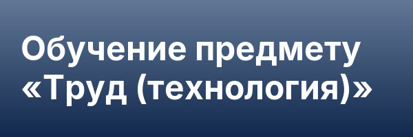 Обучение предмету «Труд (технология)»