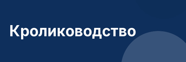 Кролиководство