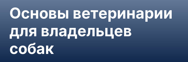 Основы ветеринарии для владельцев собак