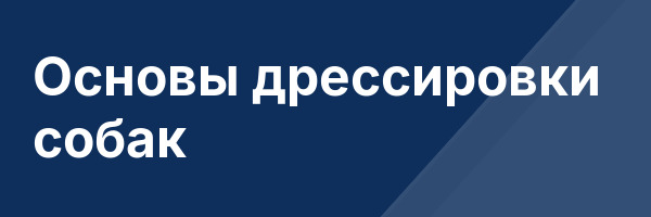 Основы дрессировки собак
