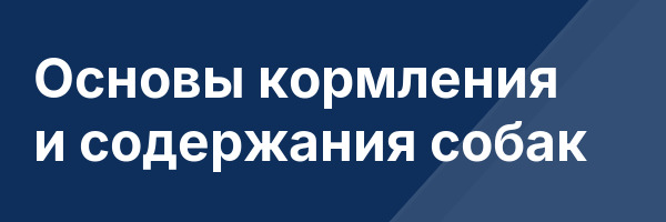 Основы кормления и содержания собак