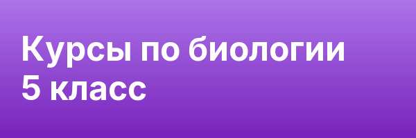 Курсы по биологии 5 класс