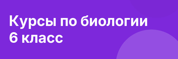 Курсы по биологии 6 класс