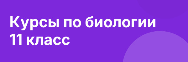 Курсы по биологии 11 класс