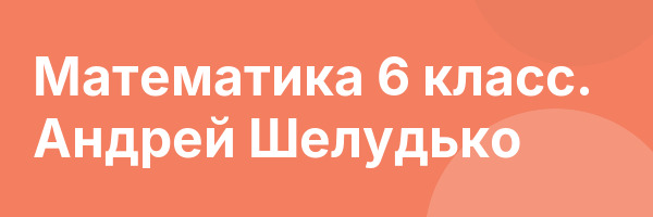 Математика 6 класс. Андрей Шелудько