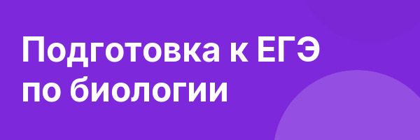 Подготовка к ЕГЭ по биологии