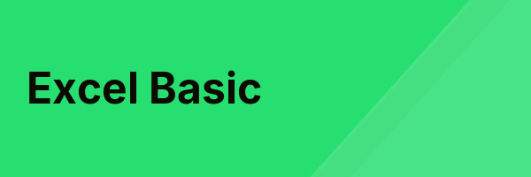 Excel Basic