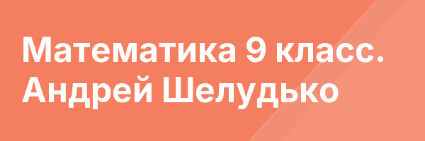 Математика 9 класс. Андрей Шелудько