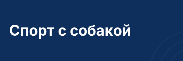 Спорт с собакой