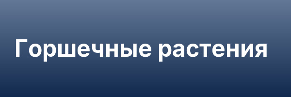 Горшечные растения