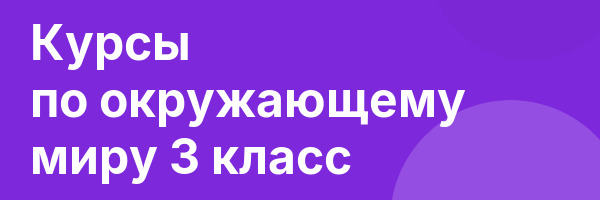 Курсы по окружающему миру 3 класс
