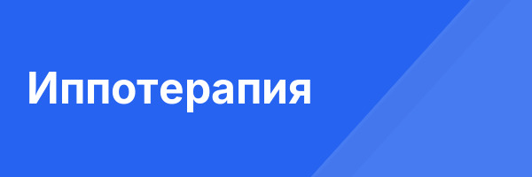 Иппотерапия