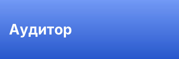 Аудитор