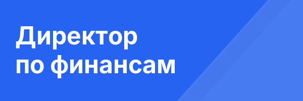 Директор по финансам