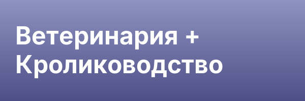 Ветеринария + Кролиководство