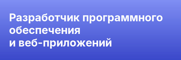 Разработчик программного обеспечения и веб-приложений
