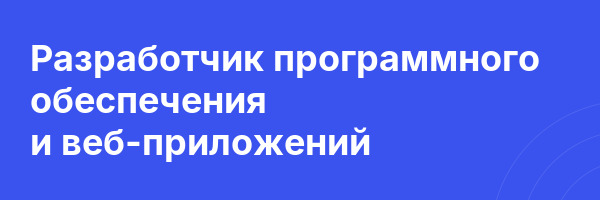 Разработчик программного обеспечения и веб-приложений