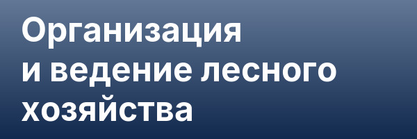 Организация и ведение лесного хозяйства