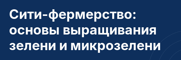 Сити-фермерство: основы выращивания зелени и микрозелени