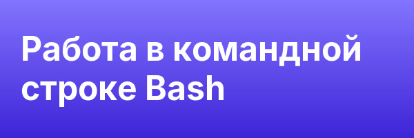 Работа в командной строке Bash