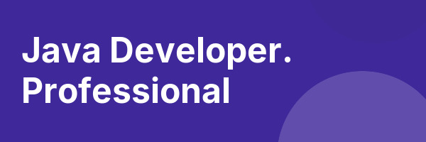 Java Developer. Professional
