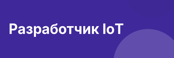 Разработчик IoT