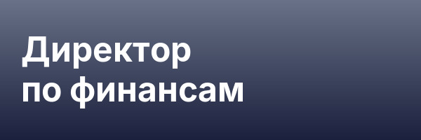 Директор по финансам