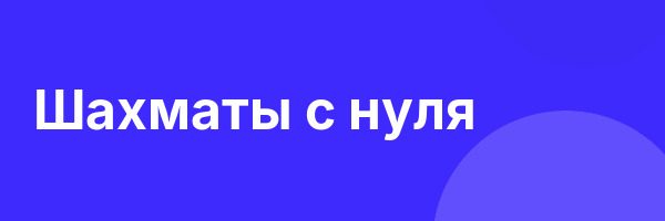 Шахматы с нуля