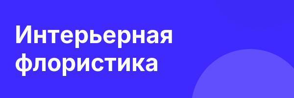 Интерьерная флористика