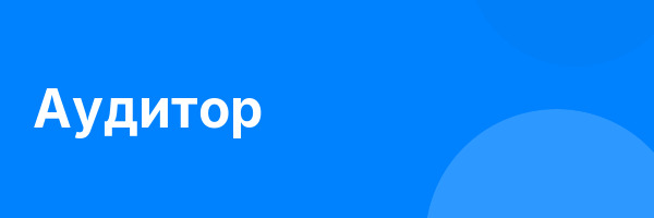 Аудитор