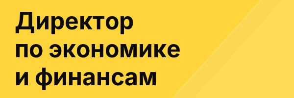 Директор по экономике и финансам